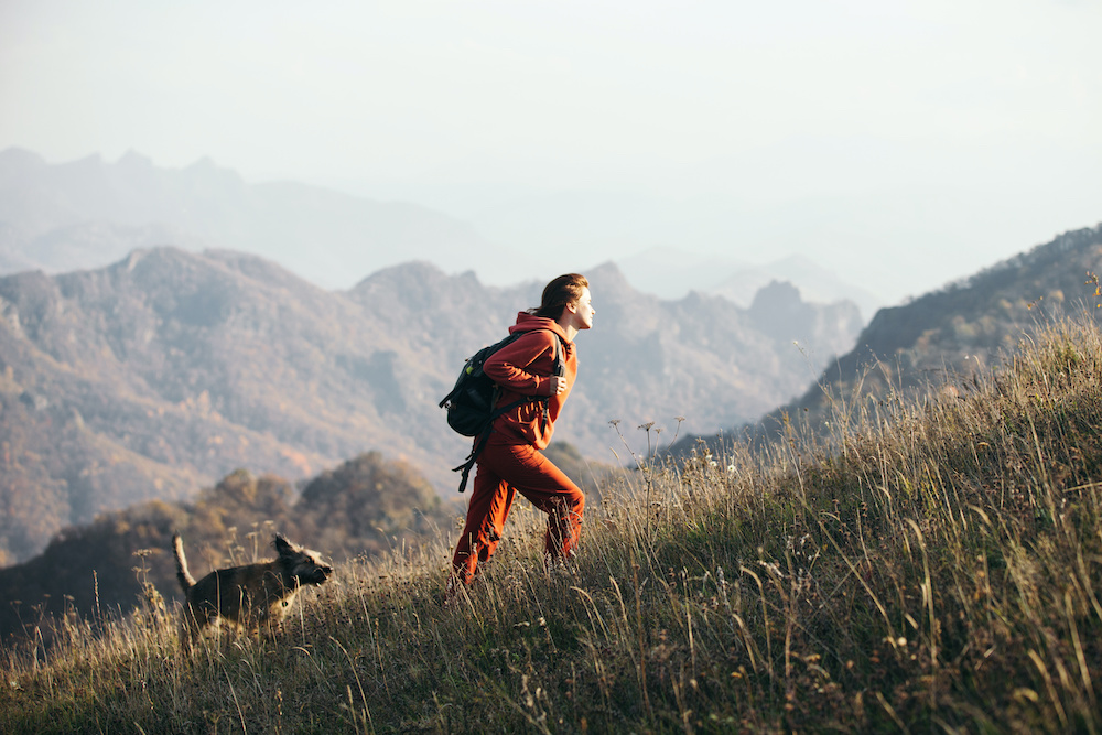 what are the best dogs for hiking?