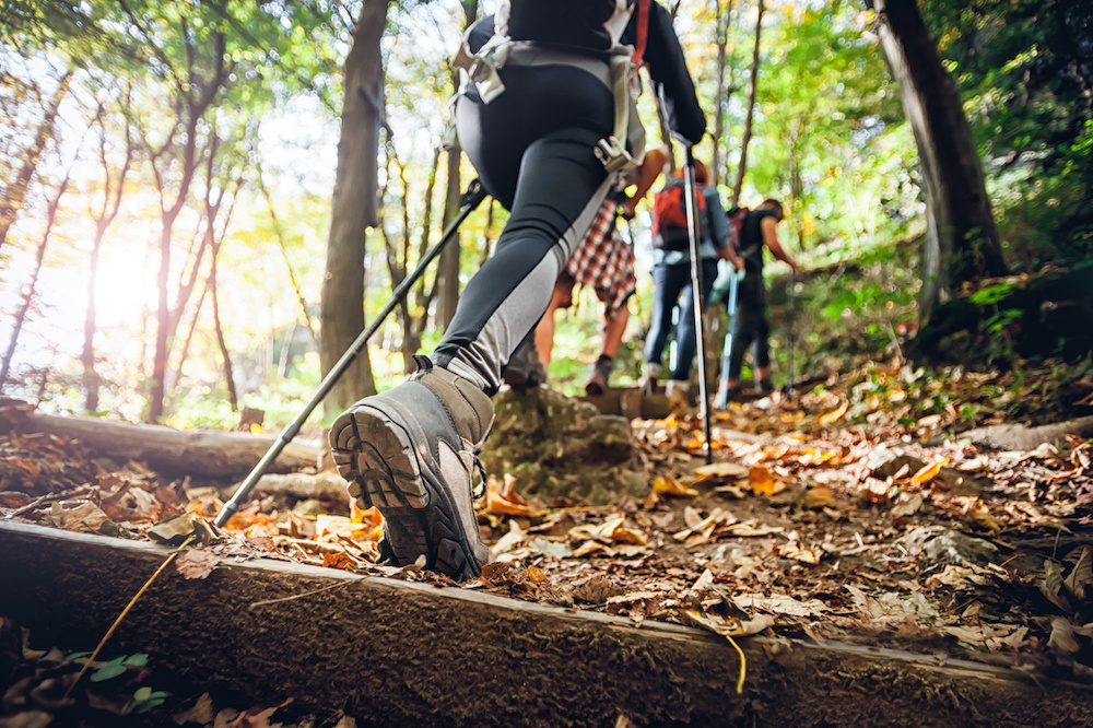 difference between hiking shoes vs boots